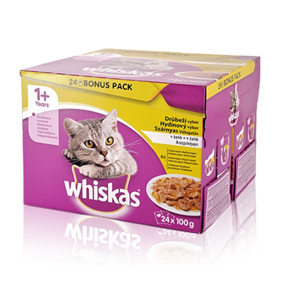 image large_e2939bce-69d0-491a-adb6-cc8a5e18ae44