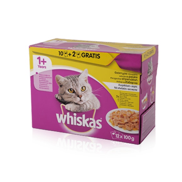 image large_e8b337c4-fc6c-4d8c-8835-9c1b6cebaebb